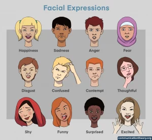 facial expressions in communication