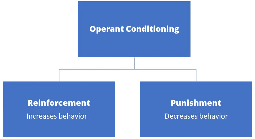 principles of operant conditioning
