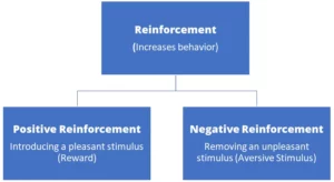 types of reinforcement
